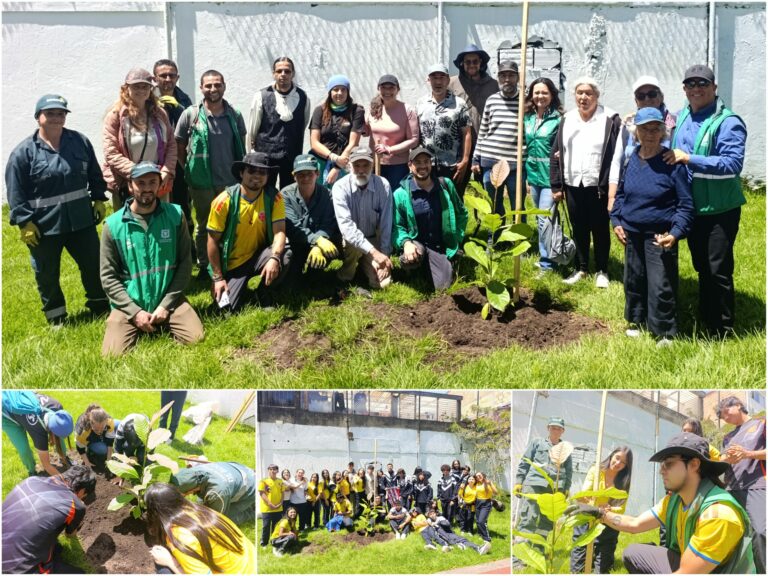 Historias del verde urbano: ¡Segunda plantación de magnolios nativos en el espacio público de Bogotá!