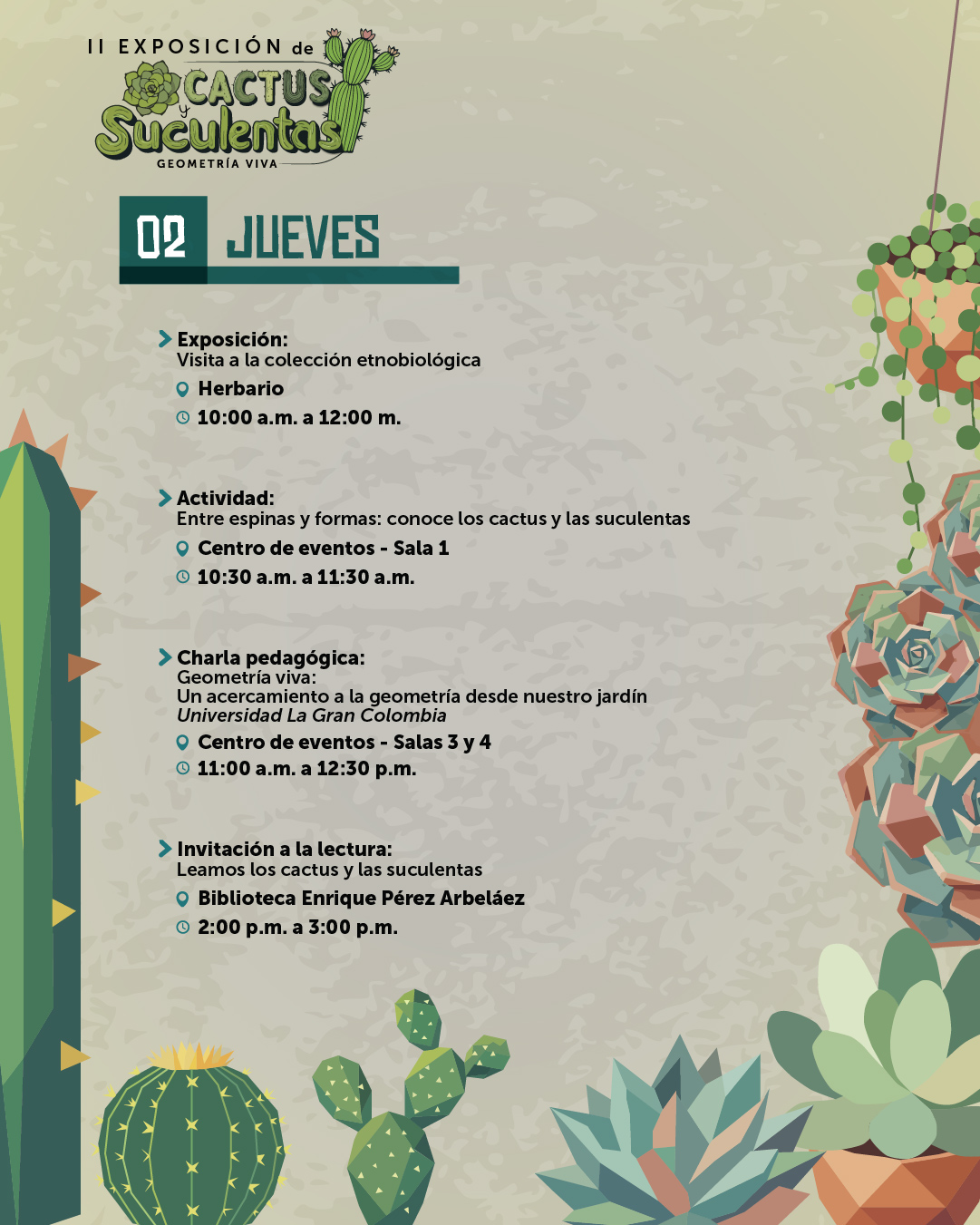cactus y suculentasVF-03