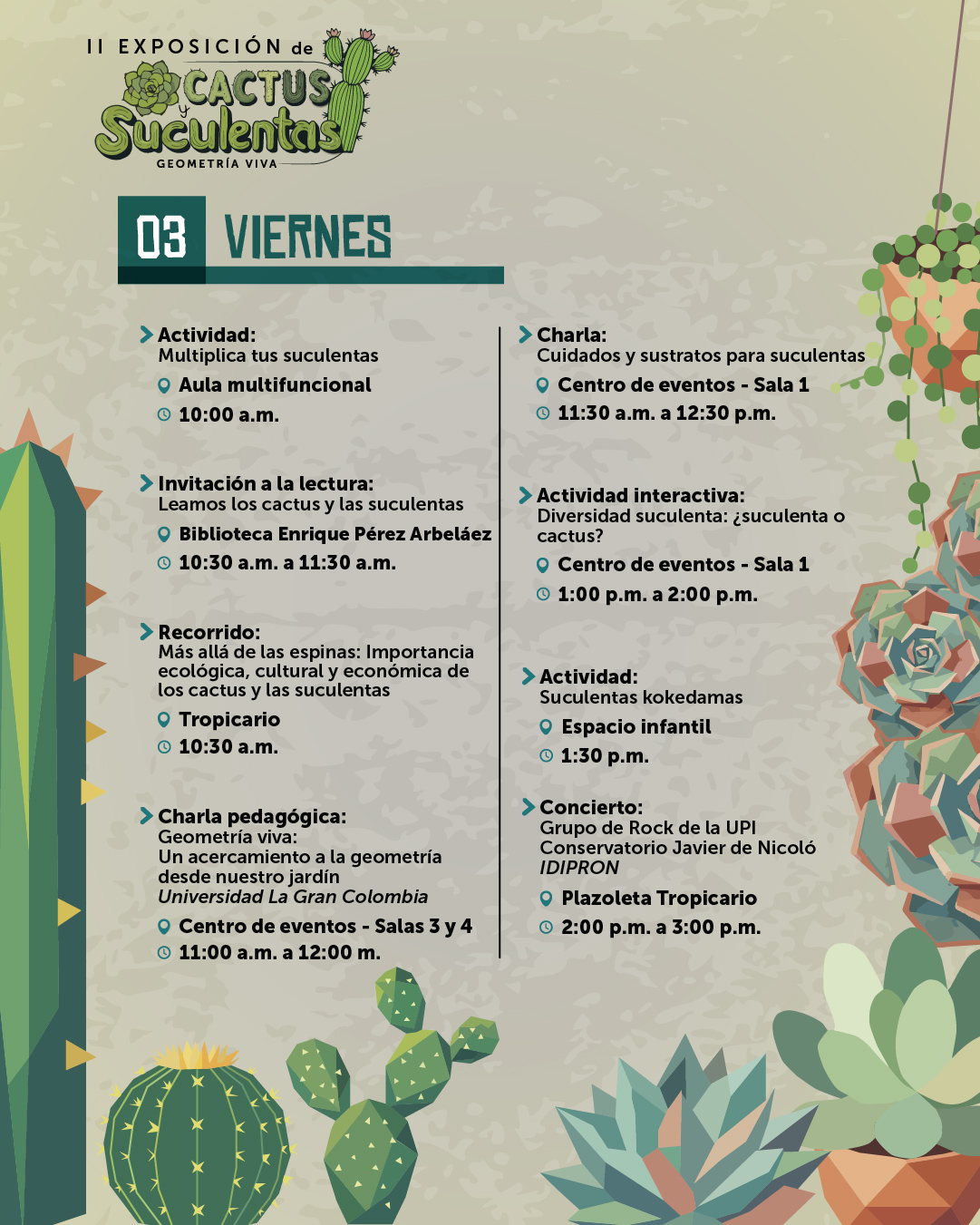 cactus y suculentasVF-04