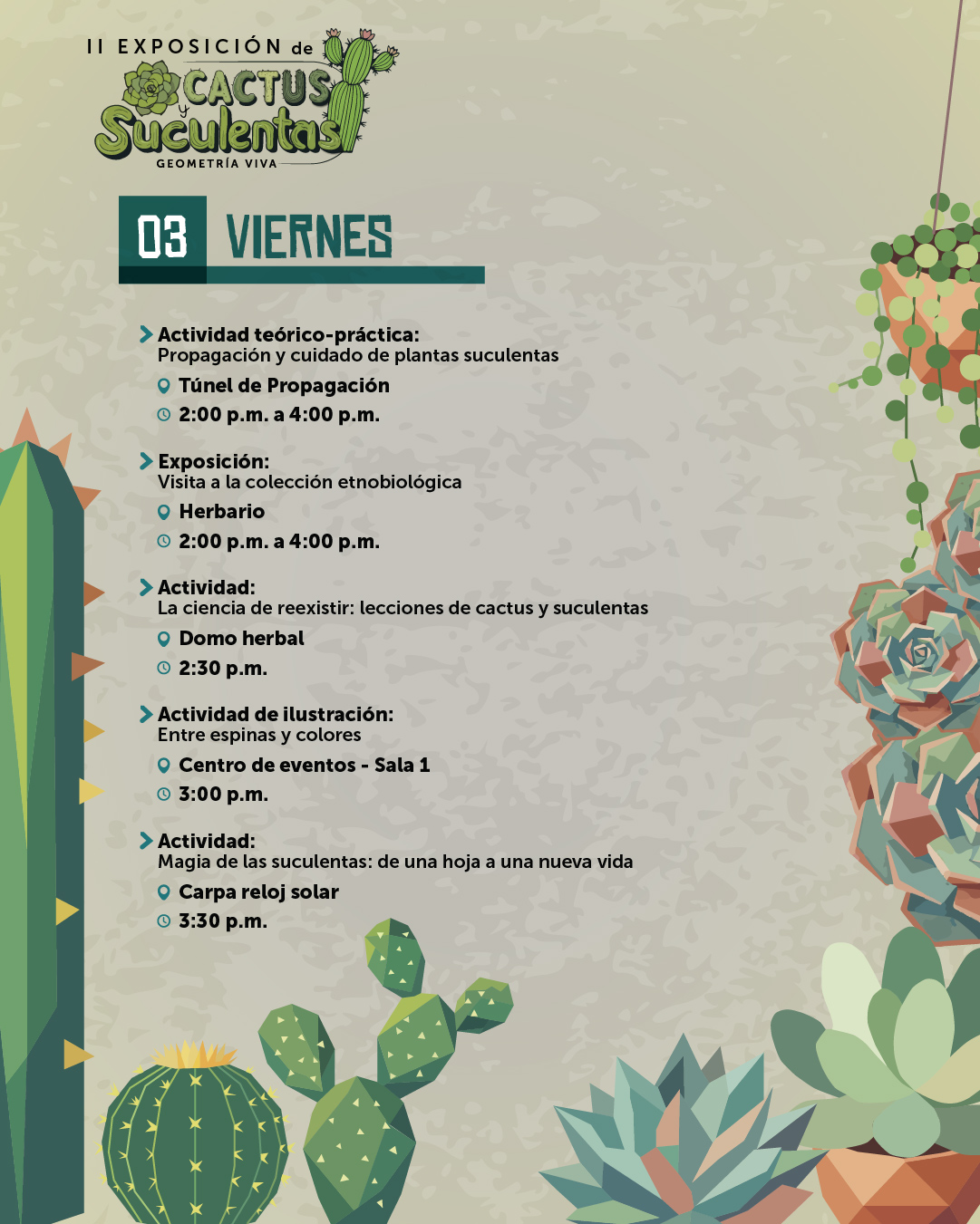 cactus y suculentasVF-05