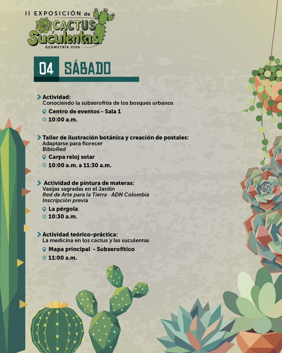 cactus y suculentasVF-06