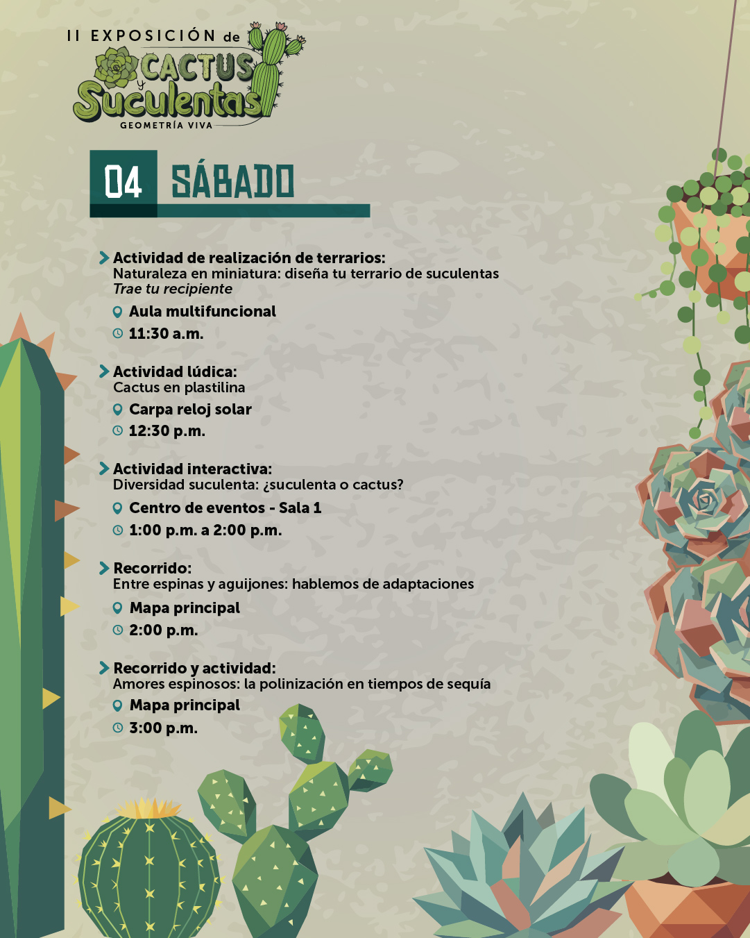 cactus y suculentasVF-07