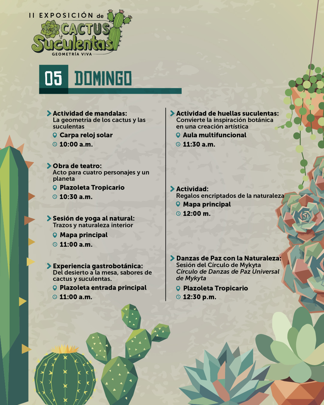 cactus y suculentasVF-08