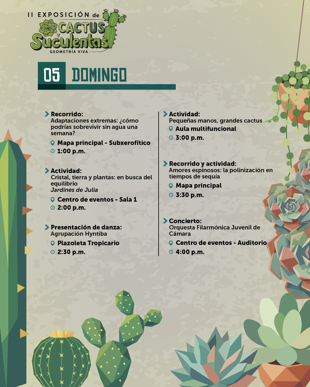 cactus y suculentasVF-09