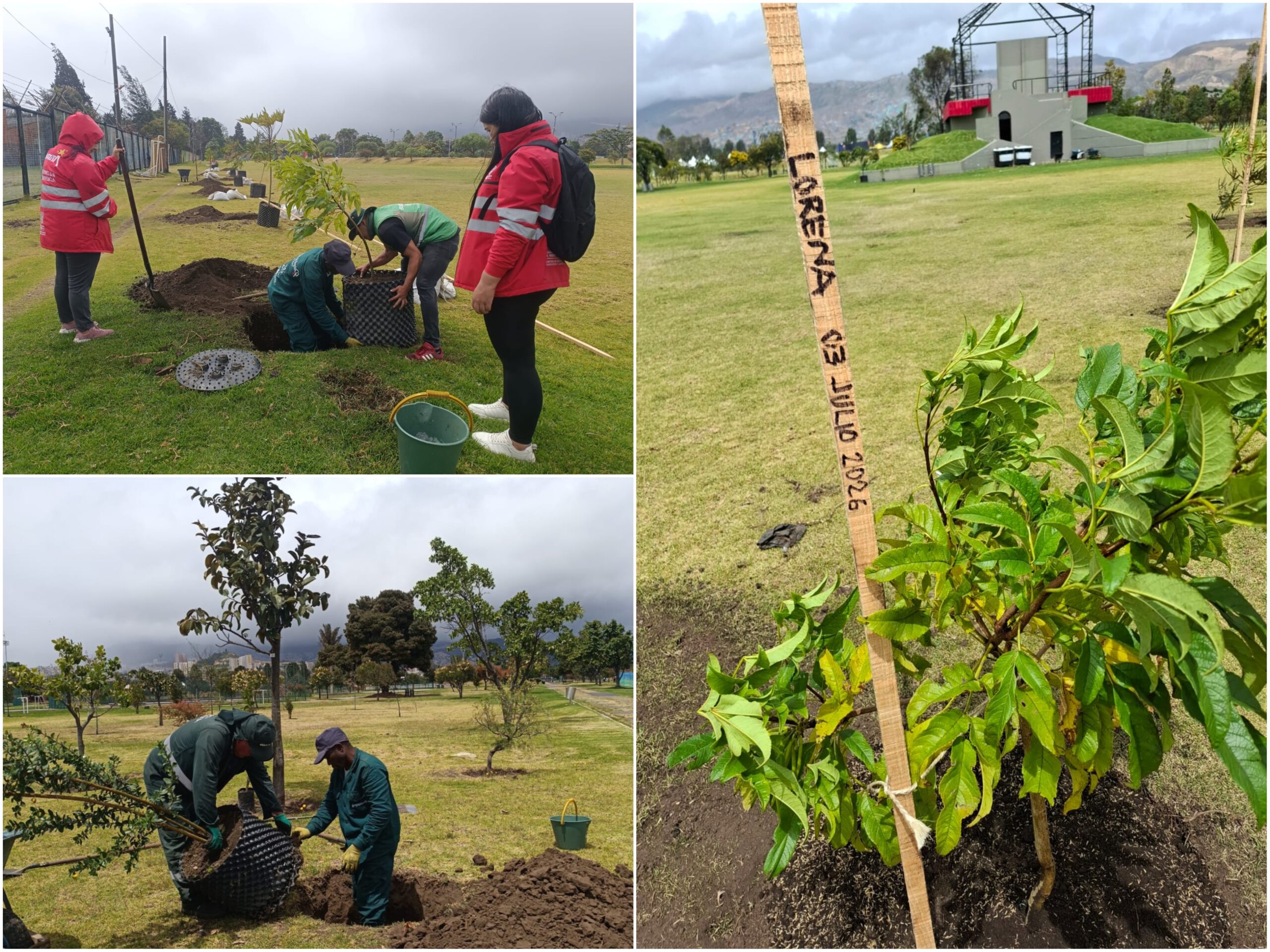 Historias del verde urbano: El Templete Eucarístico del parque El Tunal celebró sus 40 años con una plantación Historias del verde urbano: El Templete Eucarístico del parque El Tunal celebró sus 40 años con una plantación