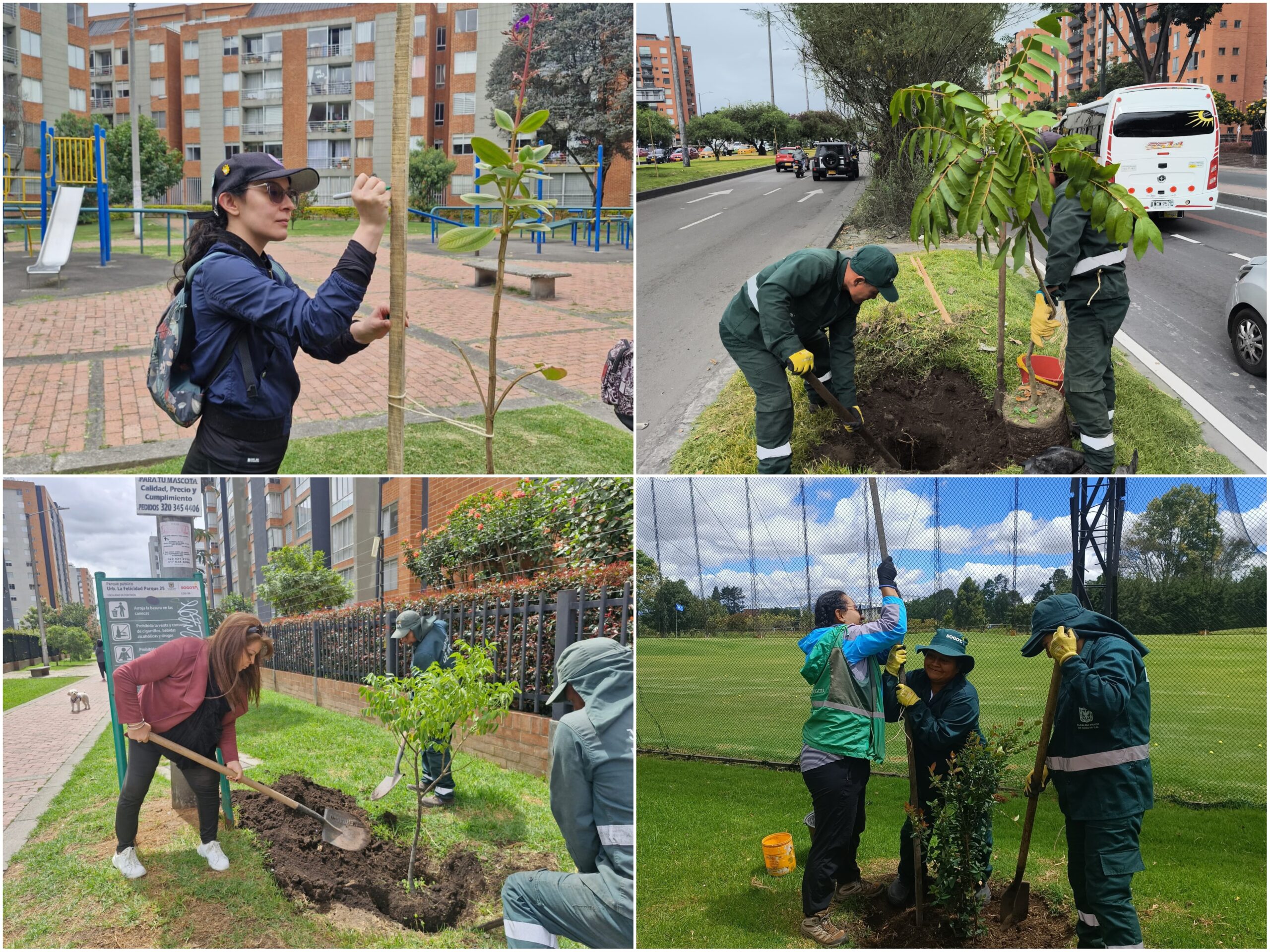 Historias del verde urbano: ¡Rescate arbóreo y riegos en 11 localidades de Bogotá!