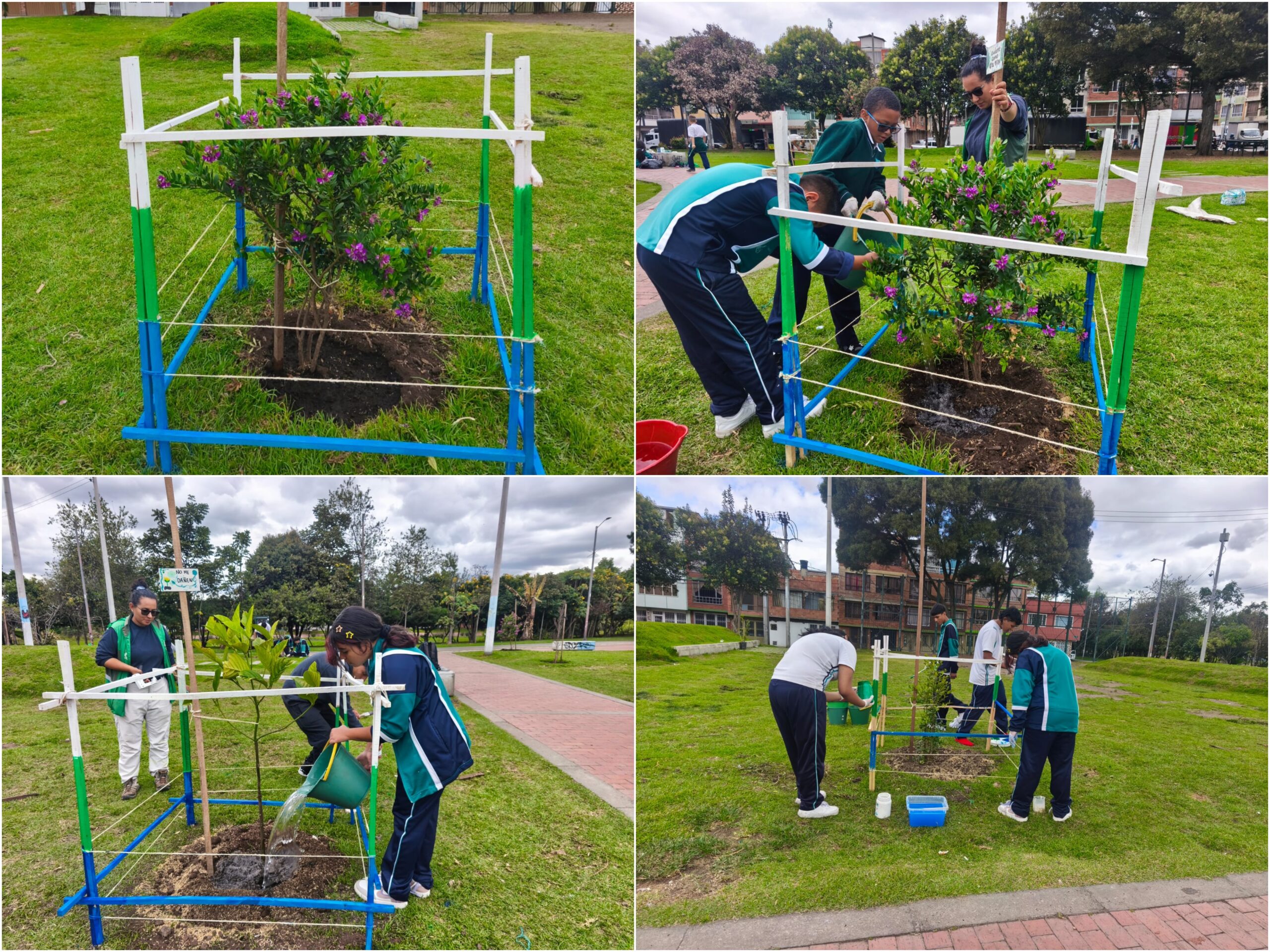 Historias del verde urbano: Actividades comunitarias ‘como en botica’ para cuidar el verde de Bogotá