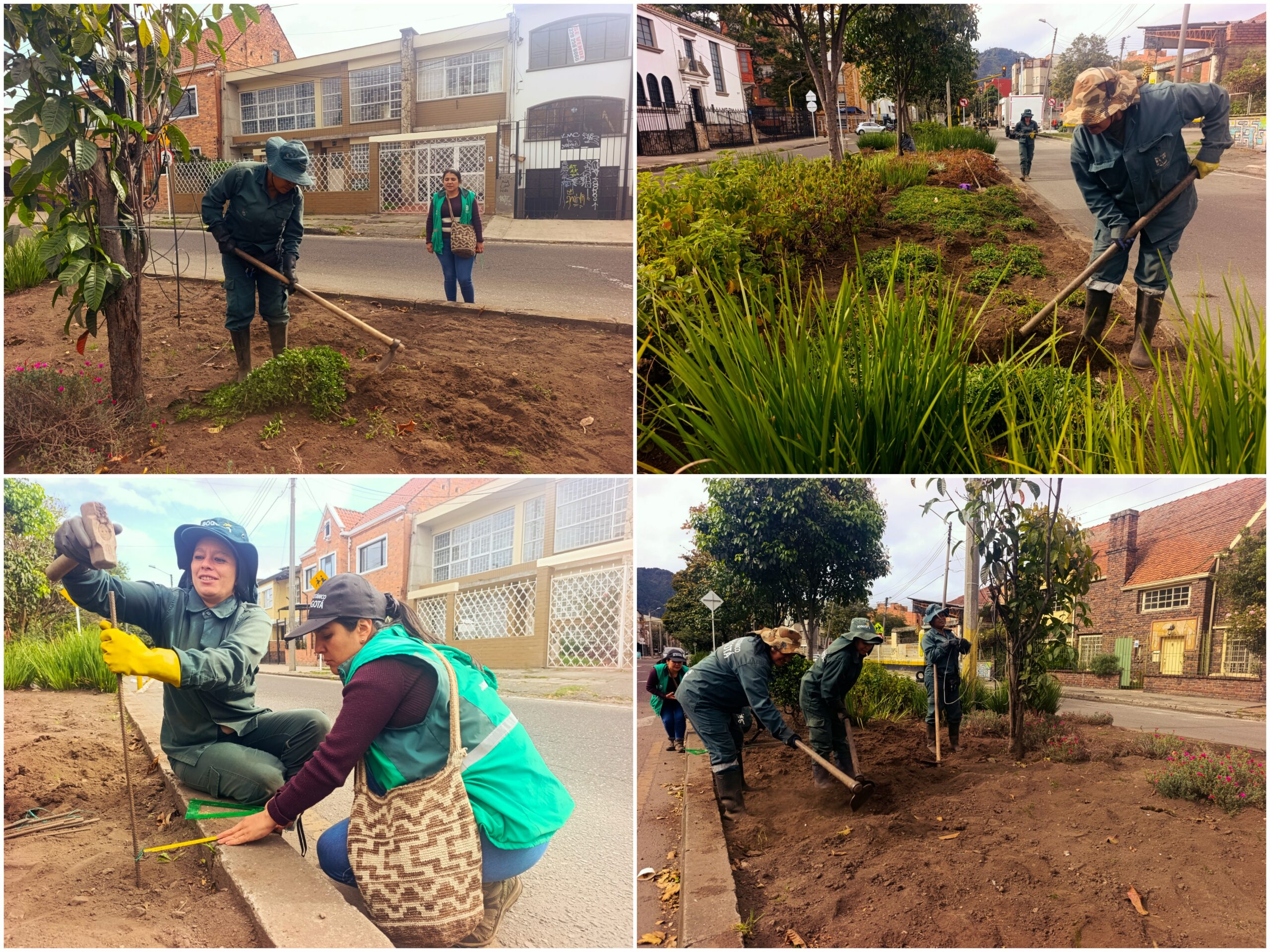Historias del verde urbano: Jardinera del barrio Palermo empezó a recuperar su belleza floral Historias del verde urbano: Jardinera del barrio Palermo empezó a recuperar su belleza floral