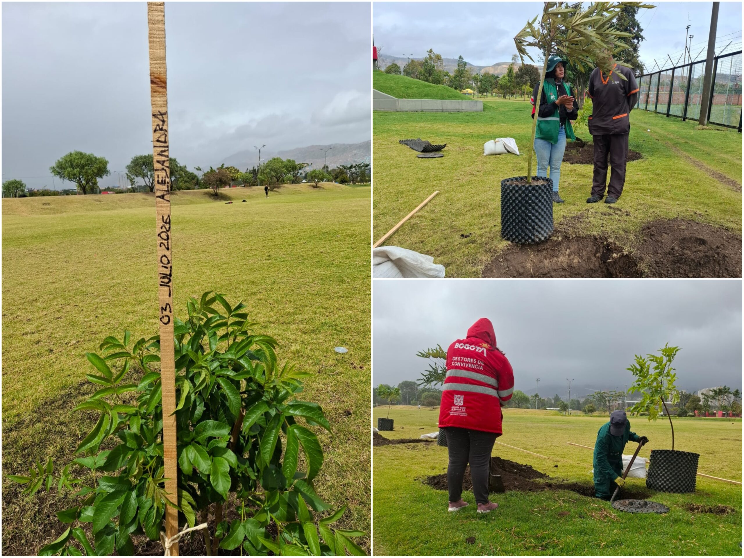 Historias del verde urbano: El Templete Eucarístico del parque El Tunal celebró sus 40 años con una plantación Historias del verde urbano: El Templete Eucarístico del parque El Tunal celebró sus 40 años con una plantación