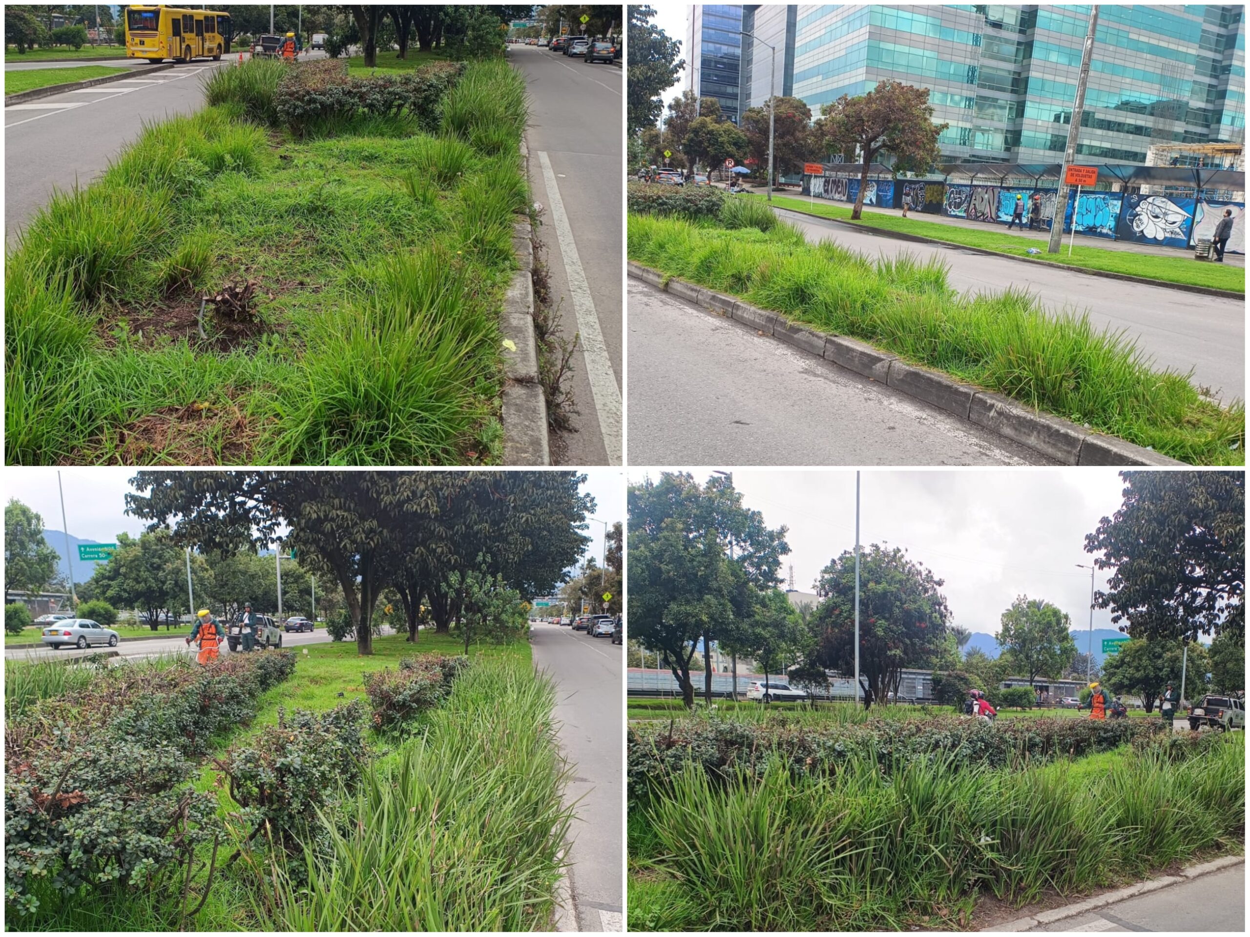 Historias del verde urbano: ¡Nueva intervención jardinera en la calle 26! Historias del verde urbano: ¡Nueva intervención jardinera en la calle 26!