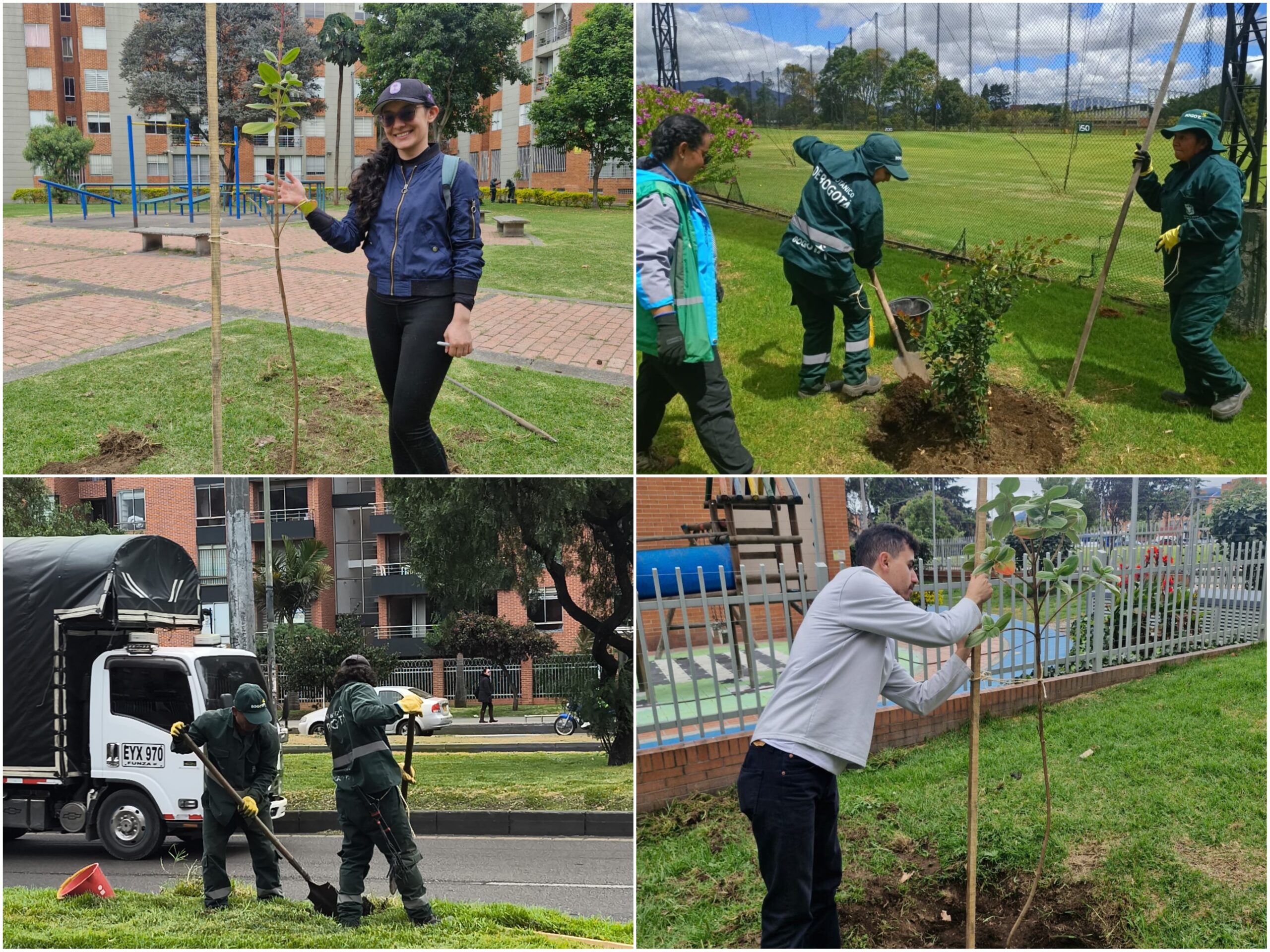 Historias del verde urbano: ¡Rescate arbóreo y riegos en 11 localidades de Bogotá!