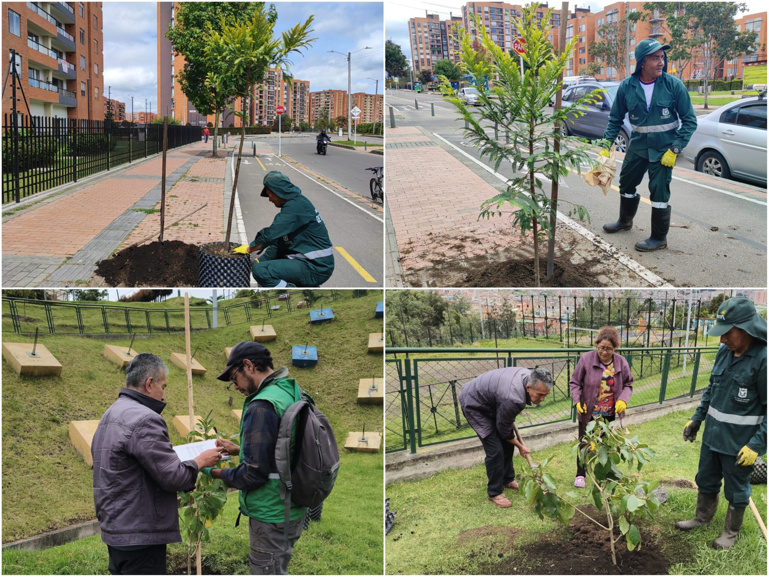 Historias del verde urbano: ¡Avanza la renaturalización del espacio público de Bogotá!