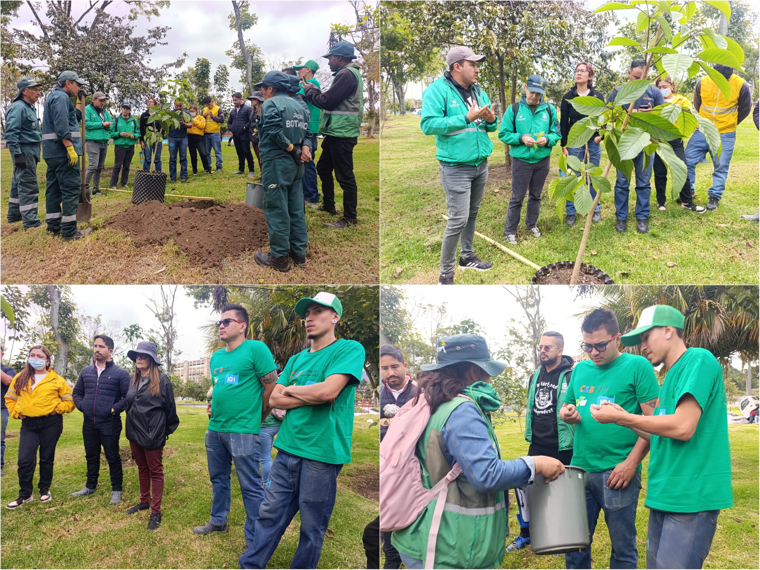 Historias del verde urbano: El corredor ecourbano de la avenida Las Américas fortalece sus coberturas arbóreas Historias del verde urbano: El corredor ecourbano de la avenida Las Américas fortalece sus coberturas arbóreas