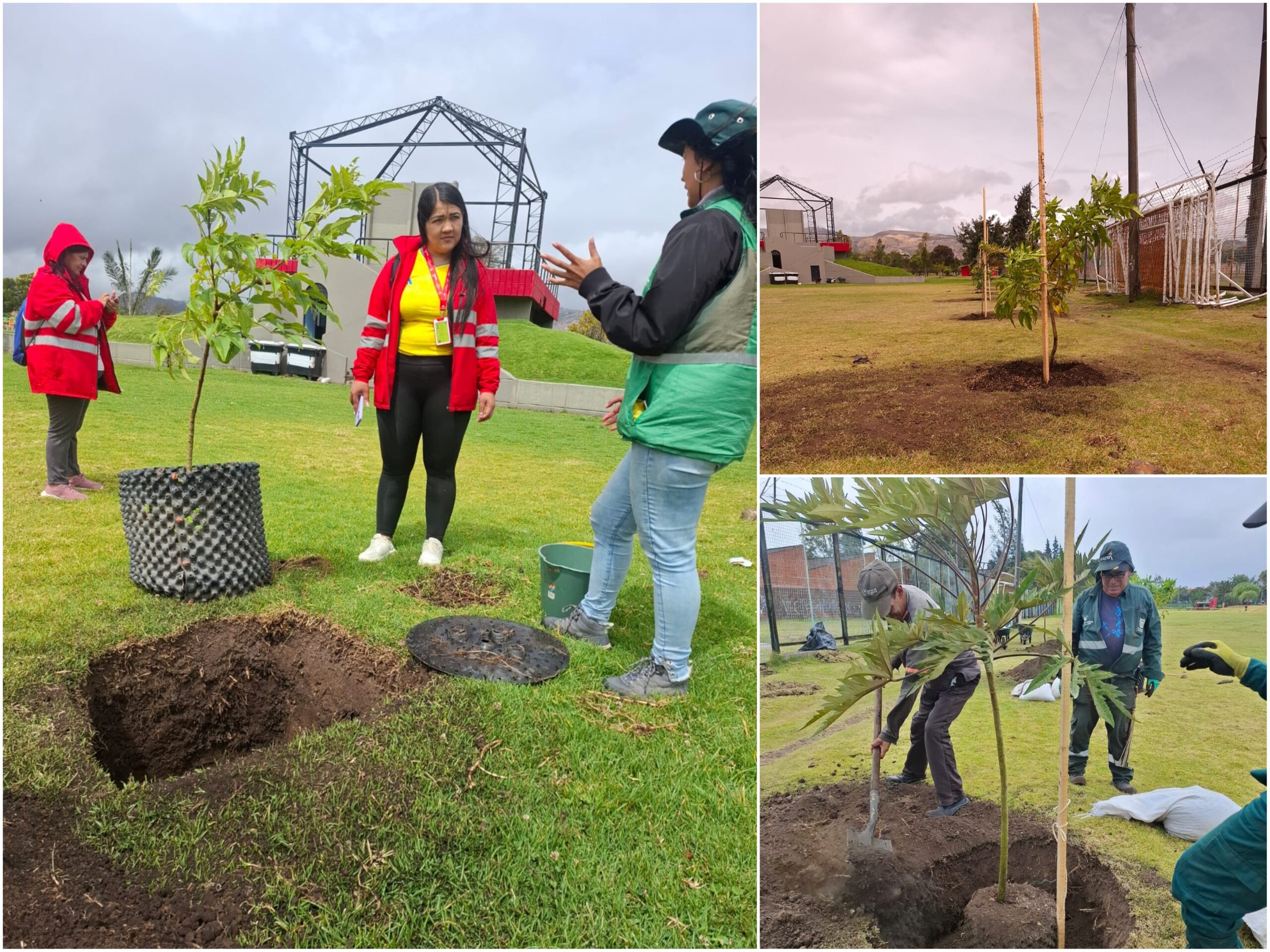 Historias del verde urbano: El Templete Eucarístico del parque El Tunal celebró sus 40 años con una plantación Historias del verde urbano: El Templete Eucarístico del parque El Tunal celebró sus 40 años con una plantación