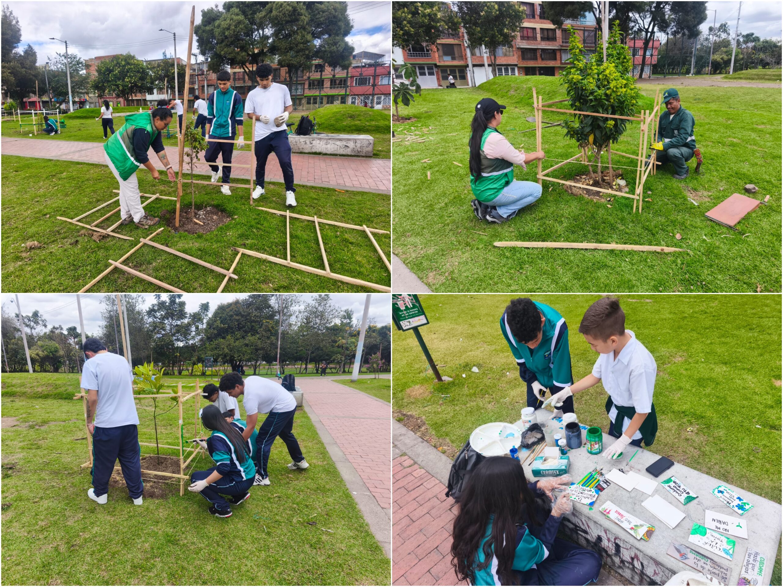 Historias del verde urbano: Actividades comunitarias ‘como en botica’ para cuidar el verde de Bogotá