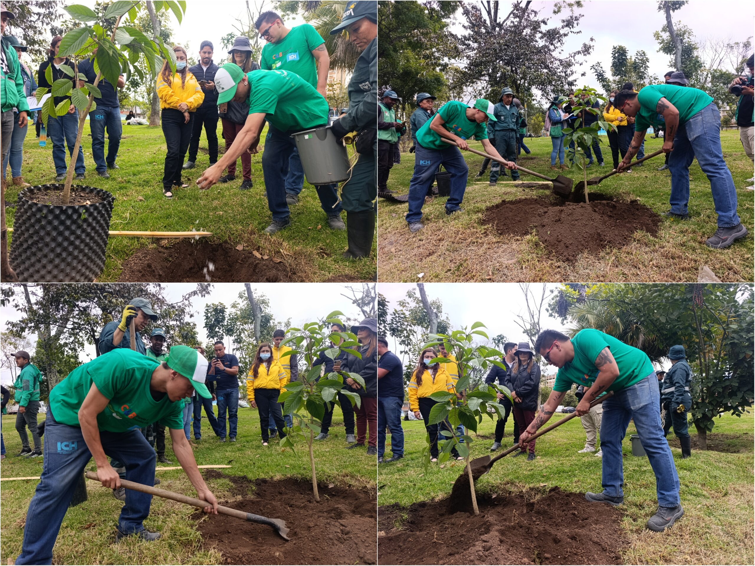 Historias del verde urbano: El corredor ecourbano de la avenida Las Américas fortalece sus coberturas arbóreas Historias del verde urbano: El corredor ecourbano de la avenida Las Américas fortalece sus coberturas arbóreas
