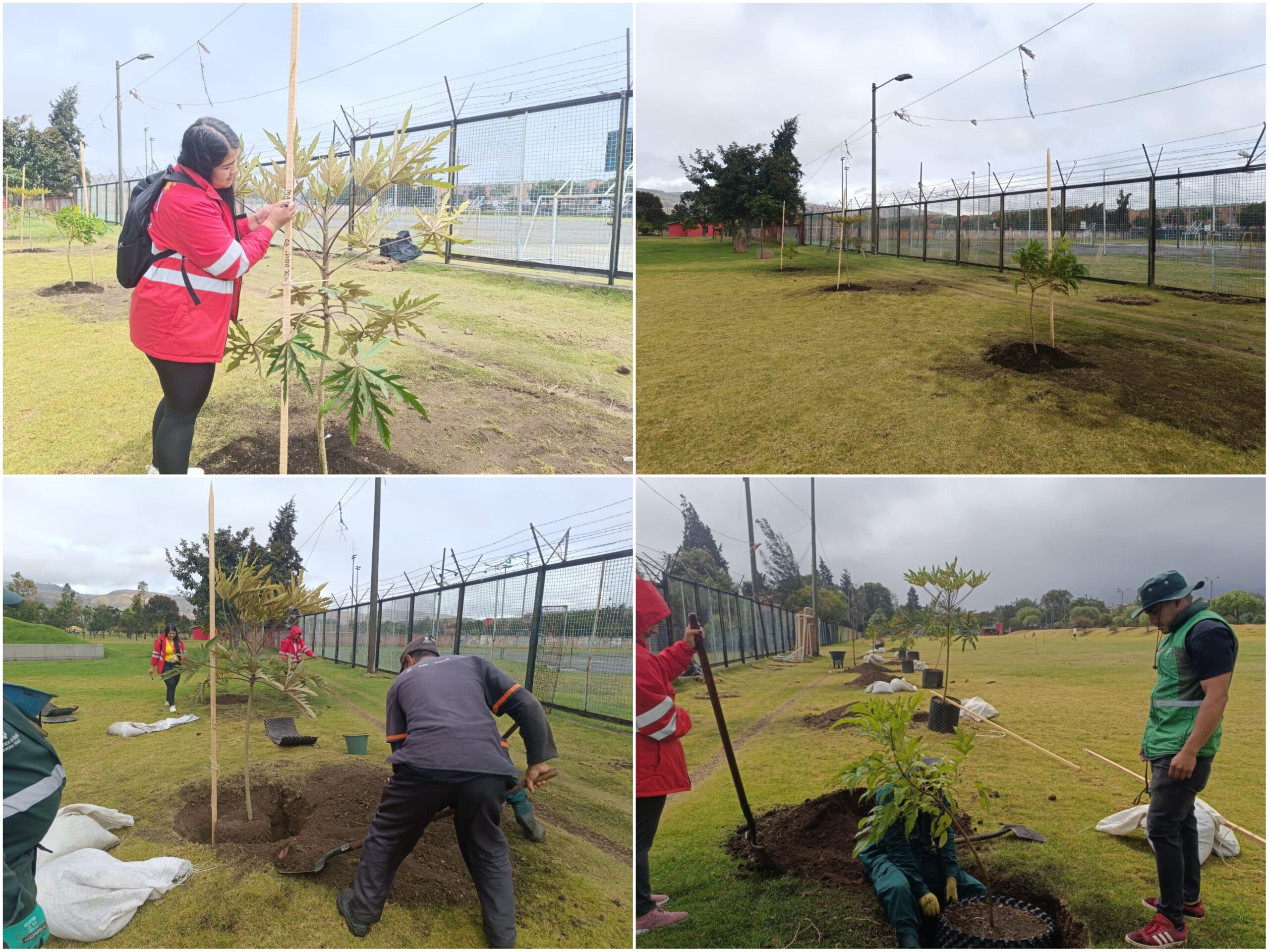 Historias del verde urbano: El Templete Eucarístico del parque El Tunal celebró sus 40 años con una plantación Historias del verde urbano: El Templete Eucarístico del parque El Tunal celebró sus 40 años con una plantación