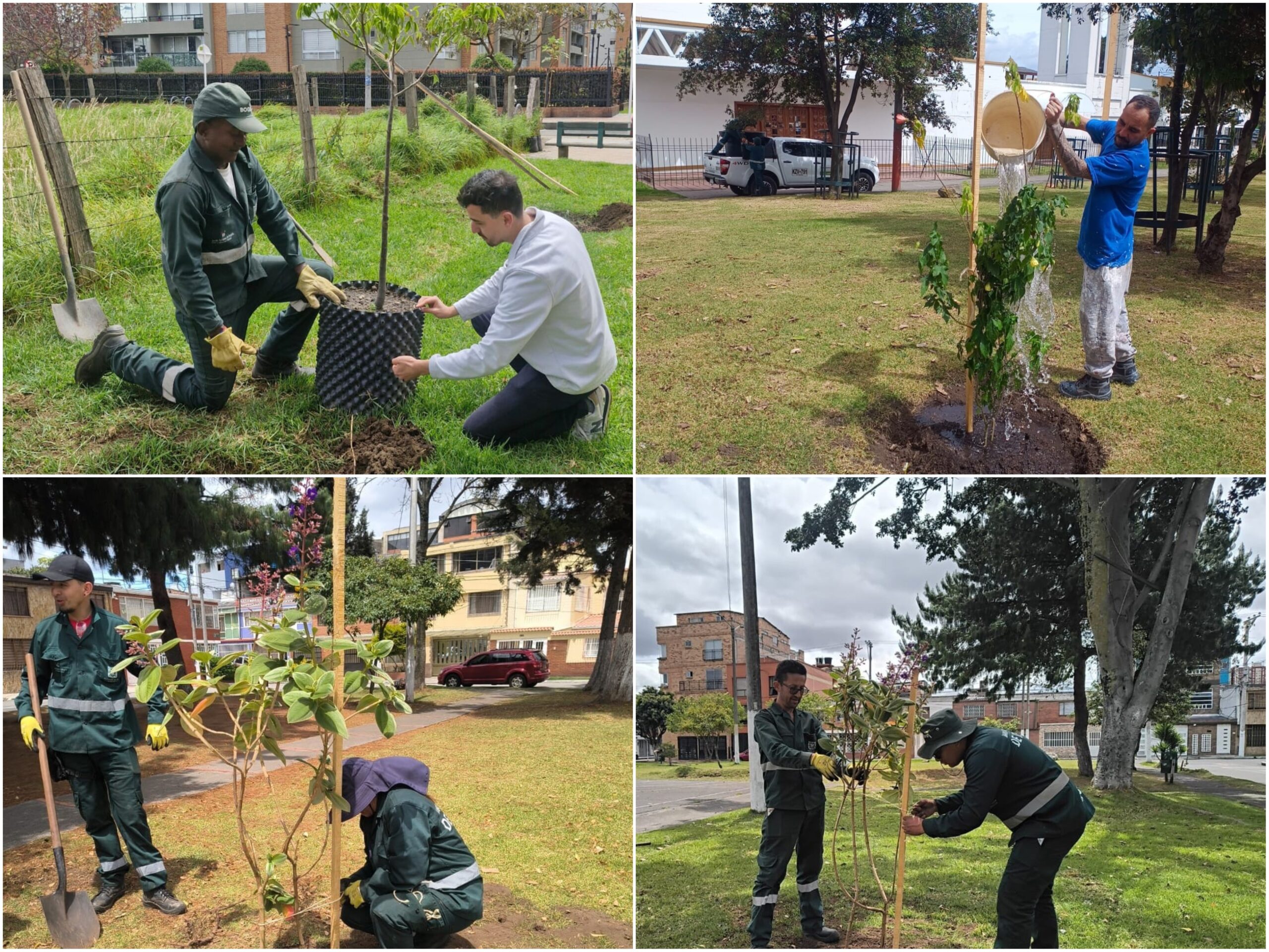 Historias del verde urbano: ¡Rescate arbóreo y riegos en 11 localidades de Bogotá!