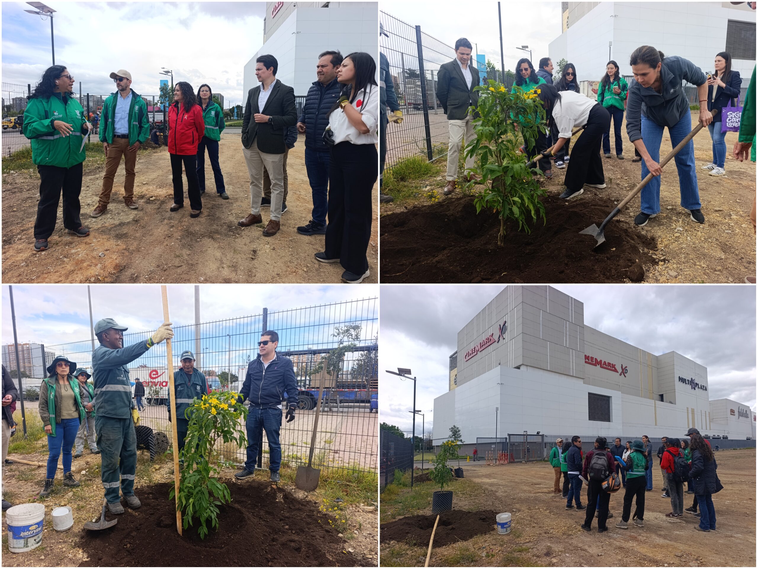 Historias del verde urbano: Multiplaza: un nuevo aliado en el fortalecimiento de las coberturas vegetales de Bogotá Historias del verde urbano: Multiplaza: un nuevo aliado en el fortalecimiento de las coberturas vegetales de Bogotá