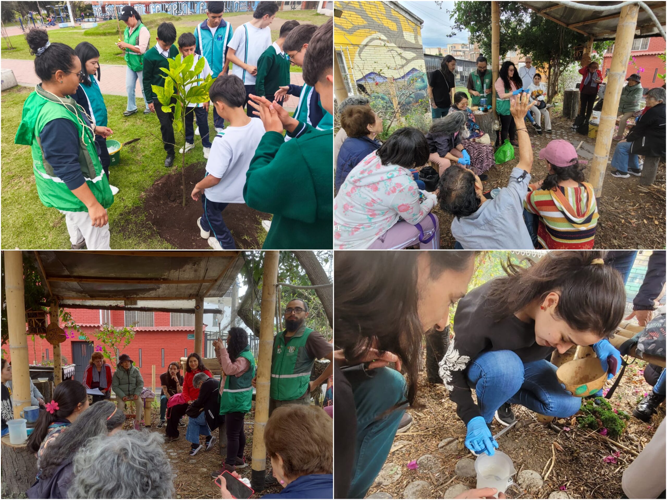 Historias del verde urbano: Actividades comunitarias ‘como en botica’ para cuidar el verde de Bogotá