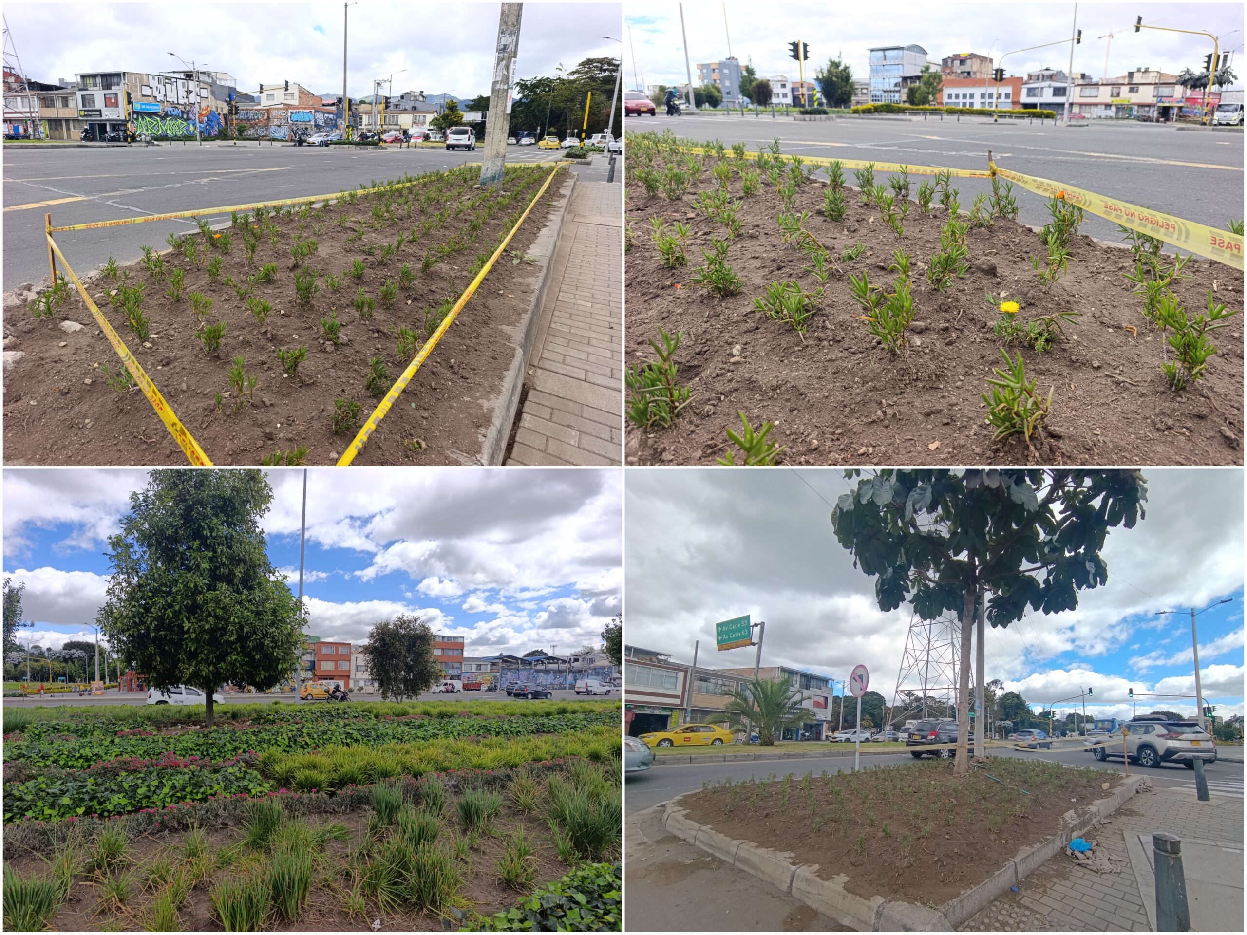 Historias del verde urbano: Más coloridas y diversas: así quedaron las jardineras del puente vehicular de la avenida Mutis con Boyacá