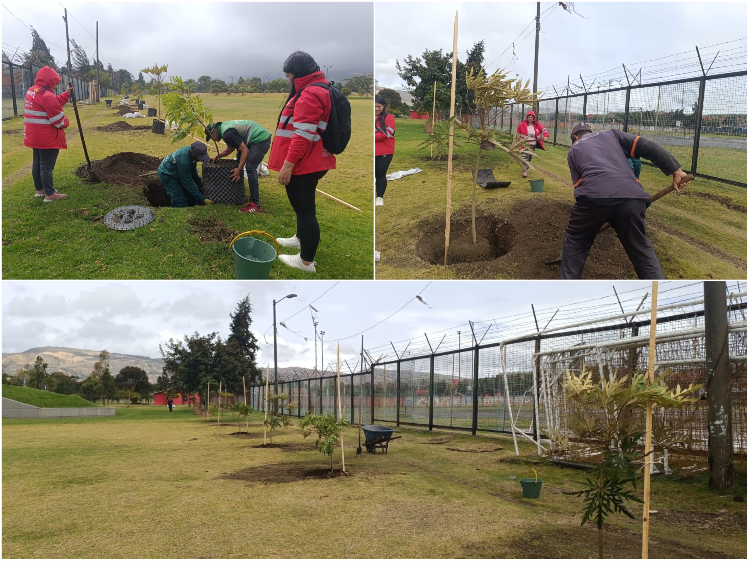 Historias del verde urbano: El Templete Eucarístico del parque El Tunal celebró sus 40 años con una plantación Historias del verde urbano: El Templete Eucarístico del parque El Tunal celebró sus 40 años con una plantación