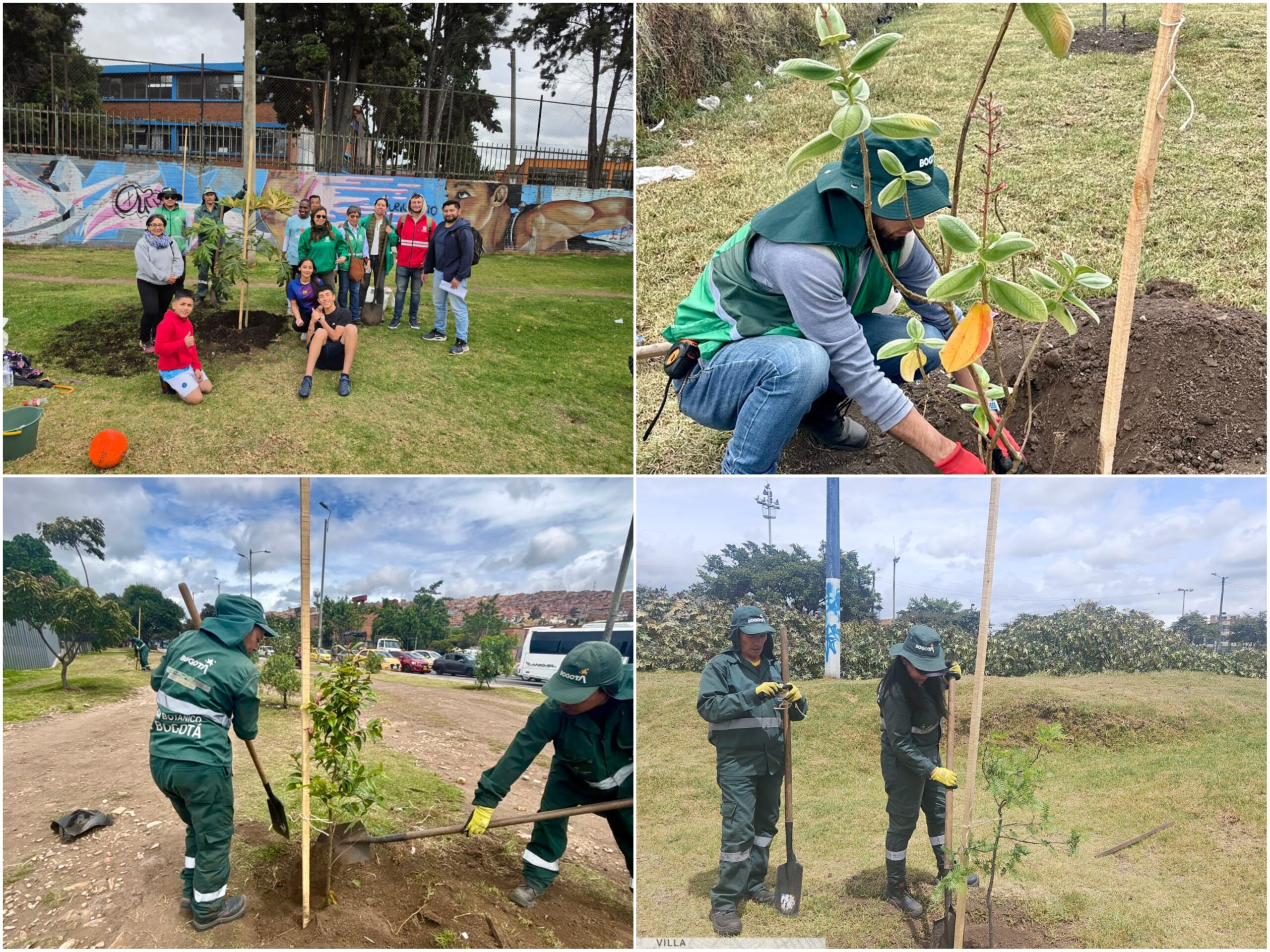 Historias del verde urbano: El Templete Eucarístico del parque El Tunal celebró sus 40 años con una plantación Historias del verde urbano: El Templete Eucarístico del parque El Tunal celebró sus 40 años con una plantación