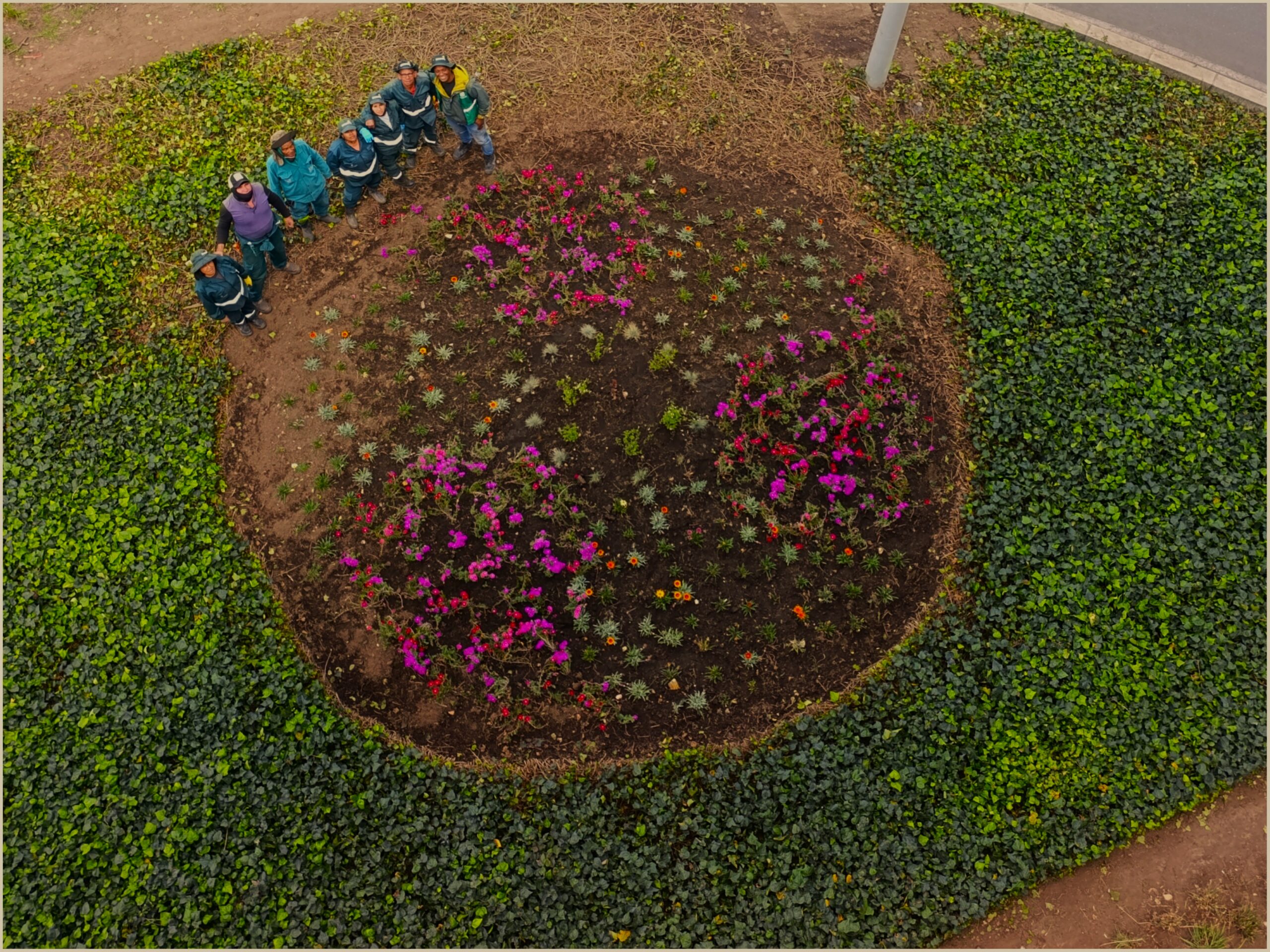 Historias del verde urbano: Más coloridas y diversas: así quedaron las jardineras del puente vehicular de la avenida Mutis con Boyacá