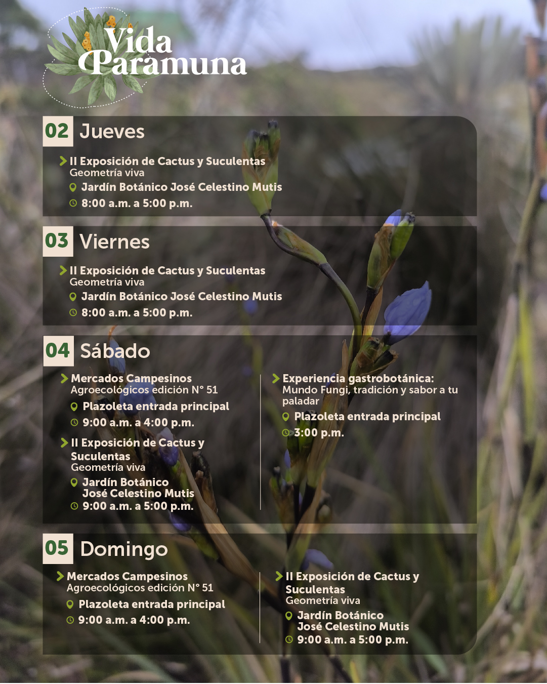 Agenda julio-02