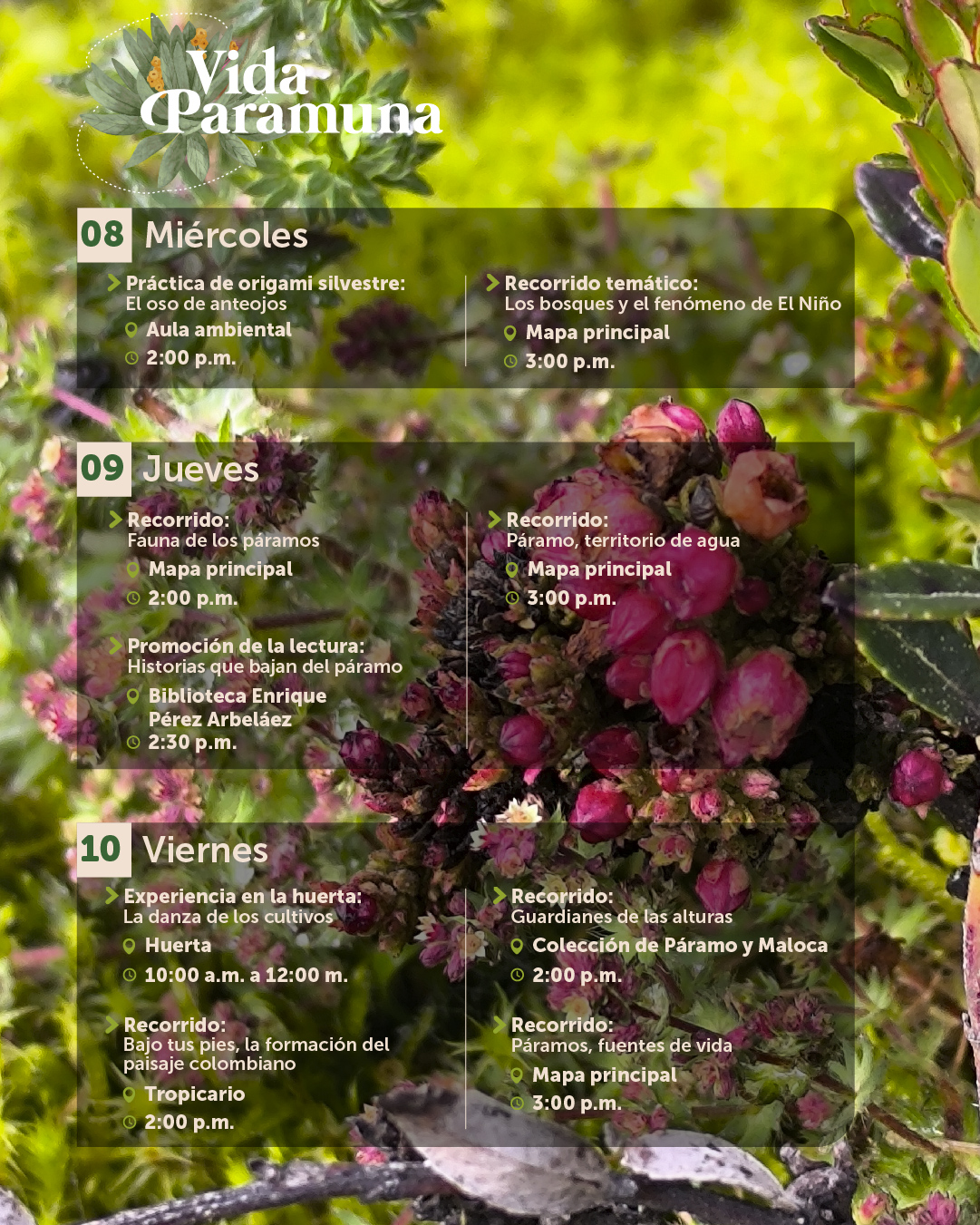 Agenda julio-03