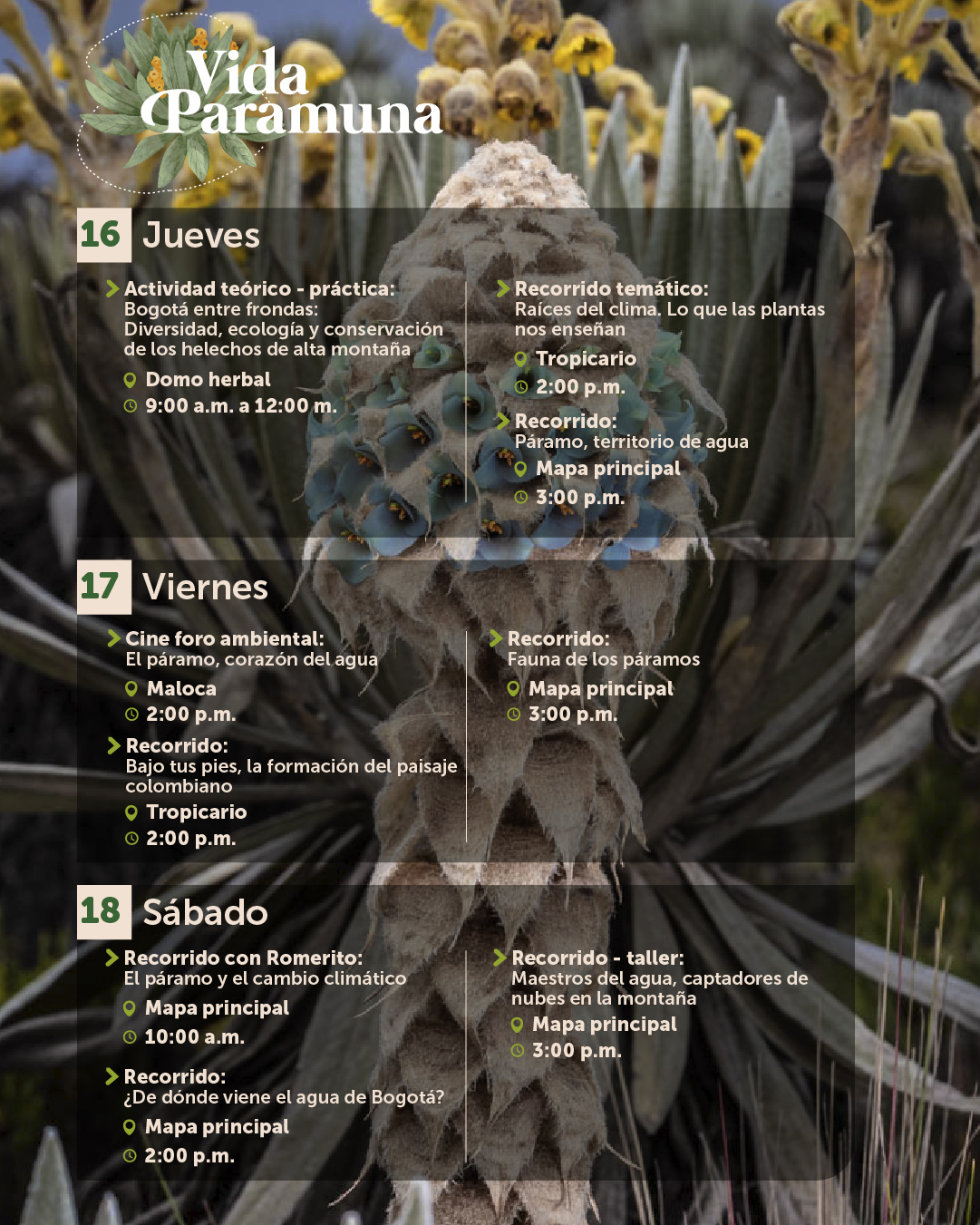 Agenda julio-05