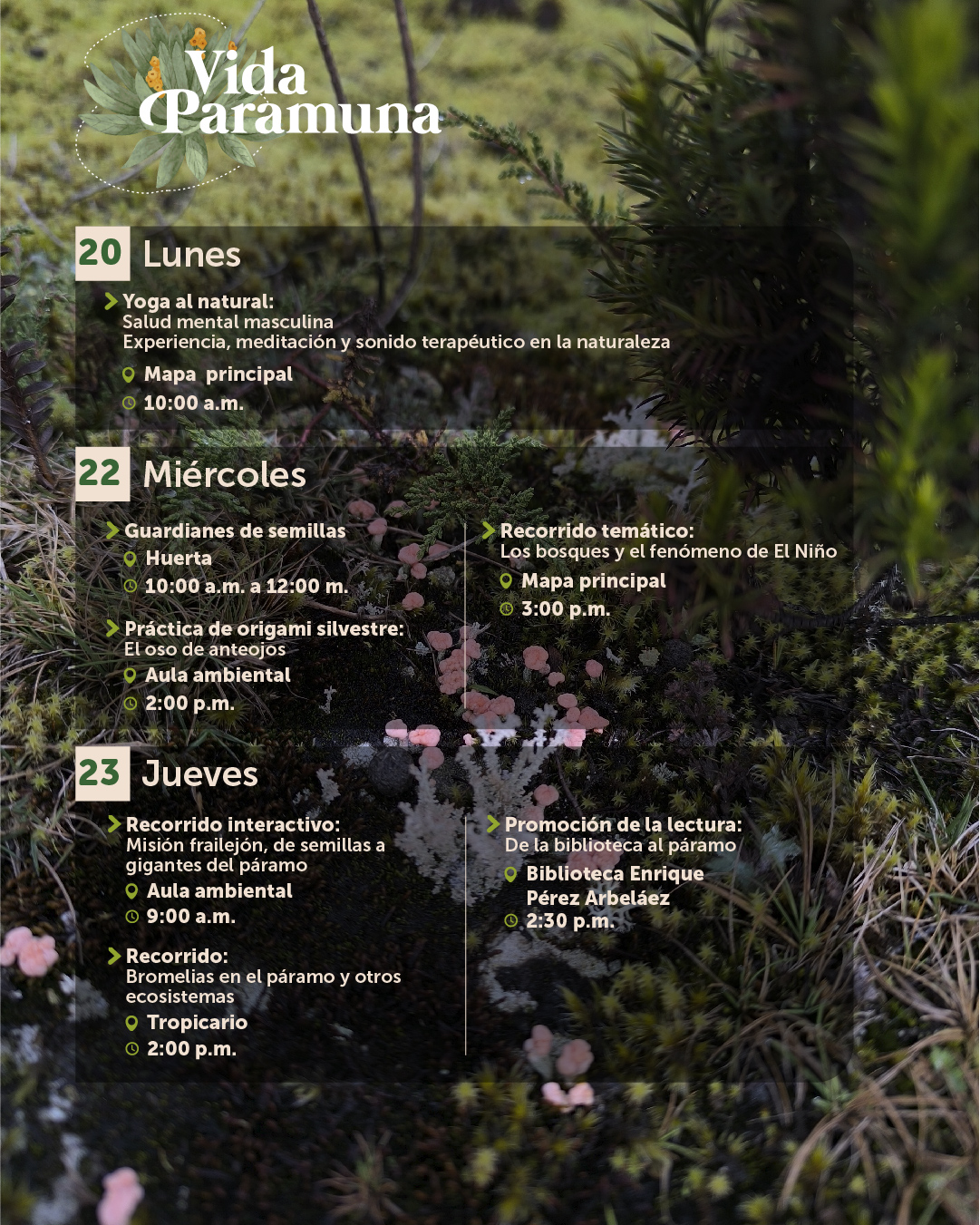 Agenda julio-06