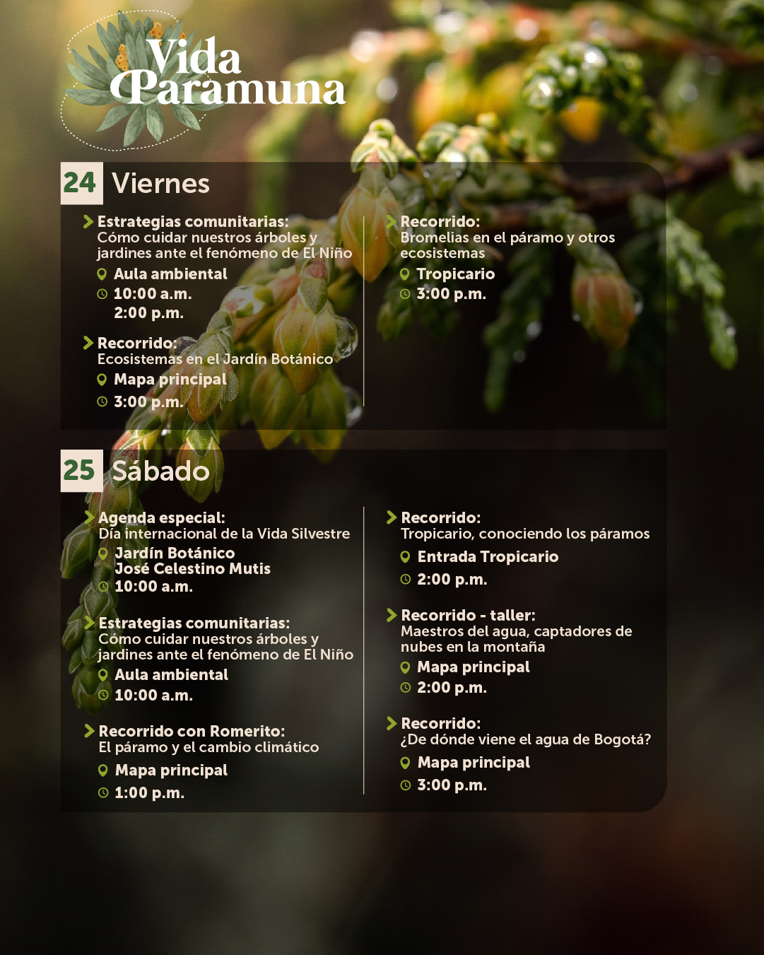 Agenda julio-07