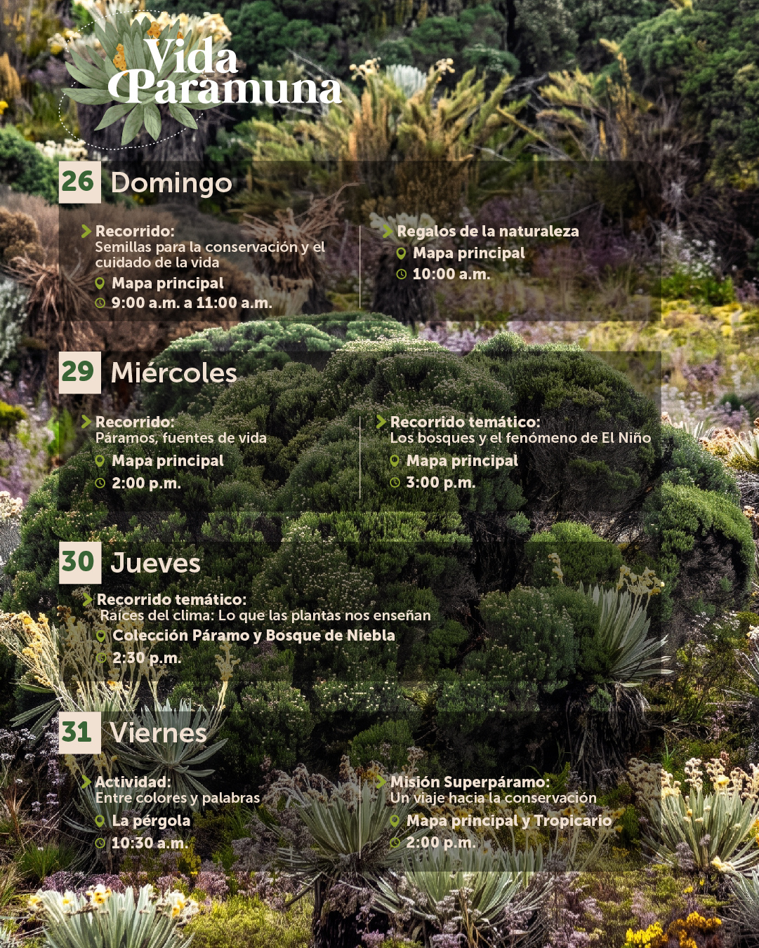 Agenda julio-08