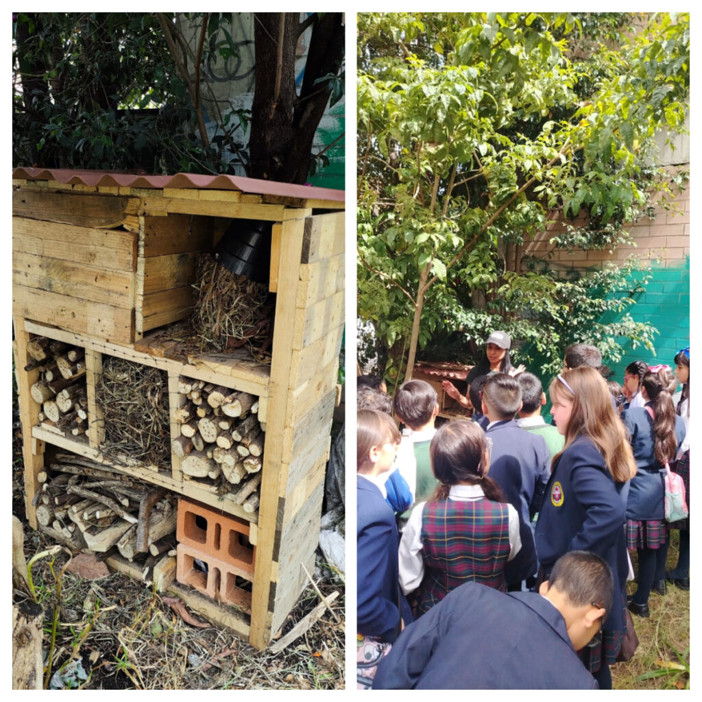 Tejiendo territorios: El valor de lo pequeño: postales desde el Club de Ciencias de la Institución Educativa Distrital Gabriel Betancourt Mejía