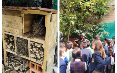 Tejiendo territorios: El valor de lo pequeño: postales desde el Club de Ciencias de la Institución Educativa Distrital Gabriel Betancourt Mejía