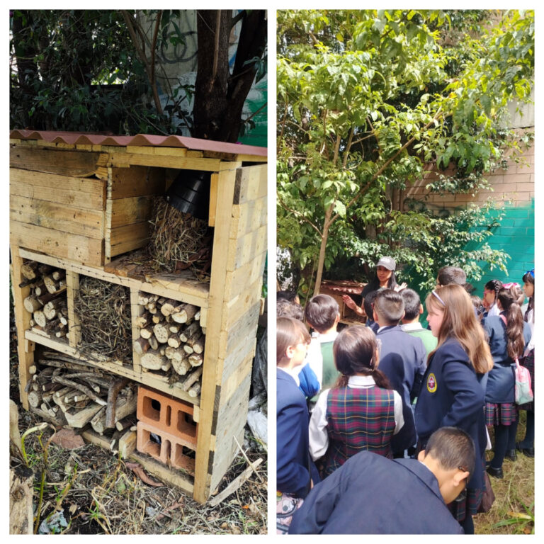 Tejiendo territorios: El valor de lo pequeño: postales desde el Club de Ciencias de la Institución Educativa Distrital Gabriel Betancourt Mejía