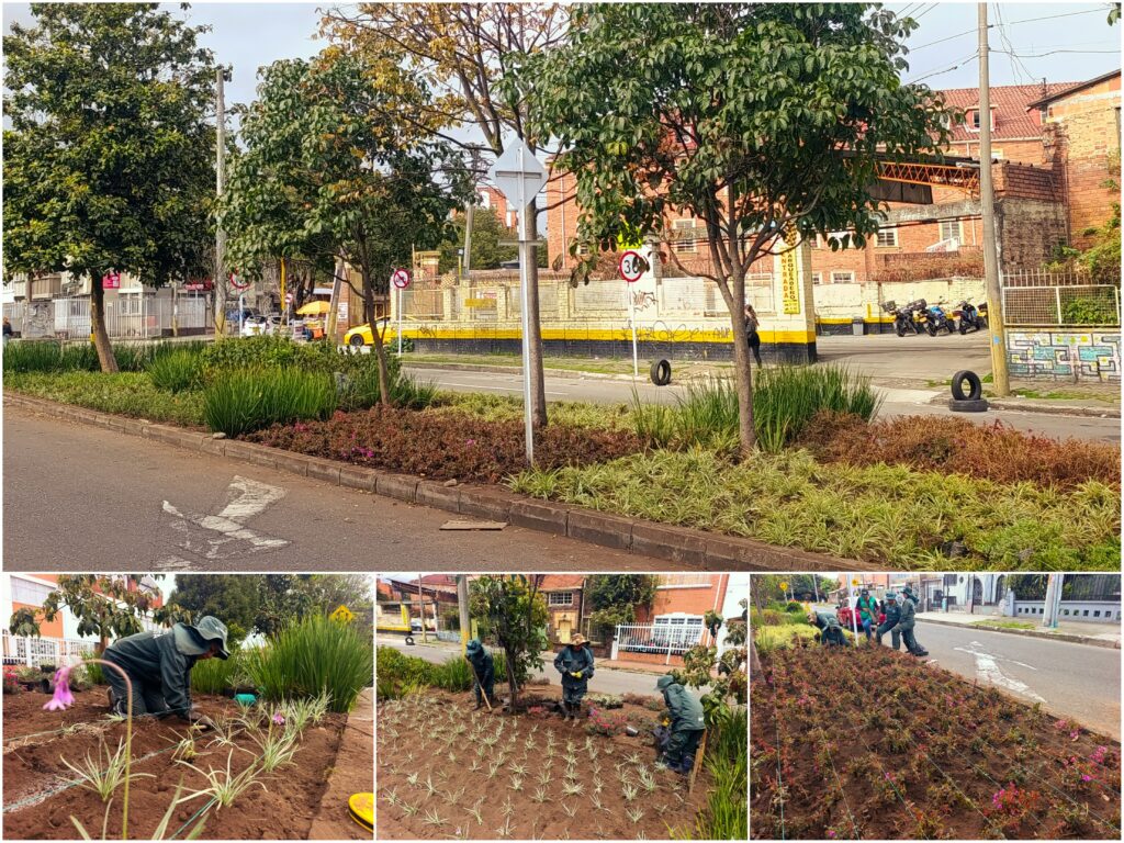Historias del verde urbano: Jardinera del barrio Palermo empezó a recuperar su belleza floral