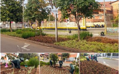 Historias del verde urbano: Jardinera del barrio Palermo empezó a recuperar su belleza floral