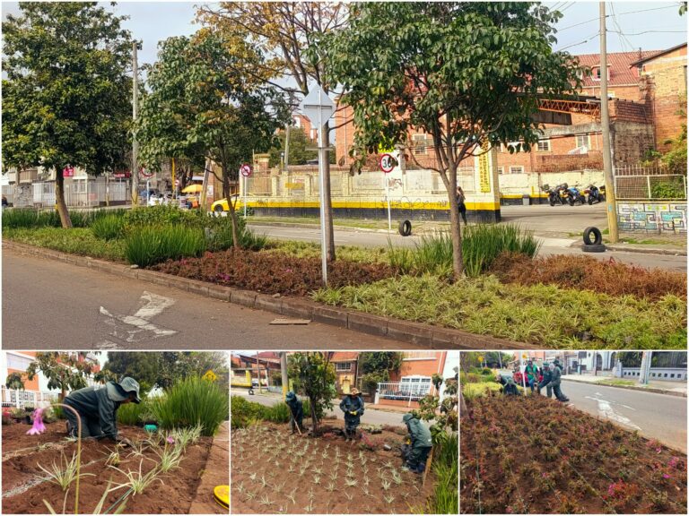Historias del verde urbano: Jardinera del barrio Palermo empezó a recuperar su belleza floral
