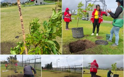 Historias del verde urbano: El Templete Eucarístico del parque El Tunal celebró sus 40 años con una plantación