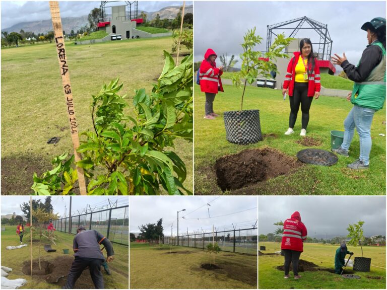 Historias del verde urbano: El Templete Eucarístico del parque El Tunal celebró sus 40 años con una plantación