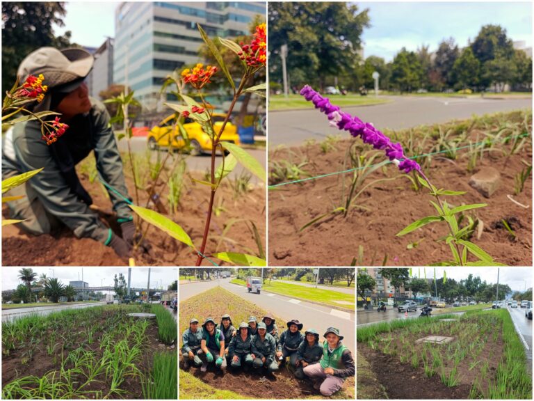 Historias del verde urbano: ¡Nueva intervención jardinera en la calle 26!
