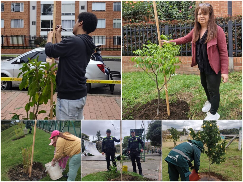 Historias del verde urbano: ¡Rescate arbóreo y riegos en 11 localidades de Bogotá!