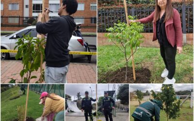 Historias del verde urbano: ¡Rescate arbóreo y riegos en 11 localidades de Bogotá!