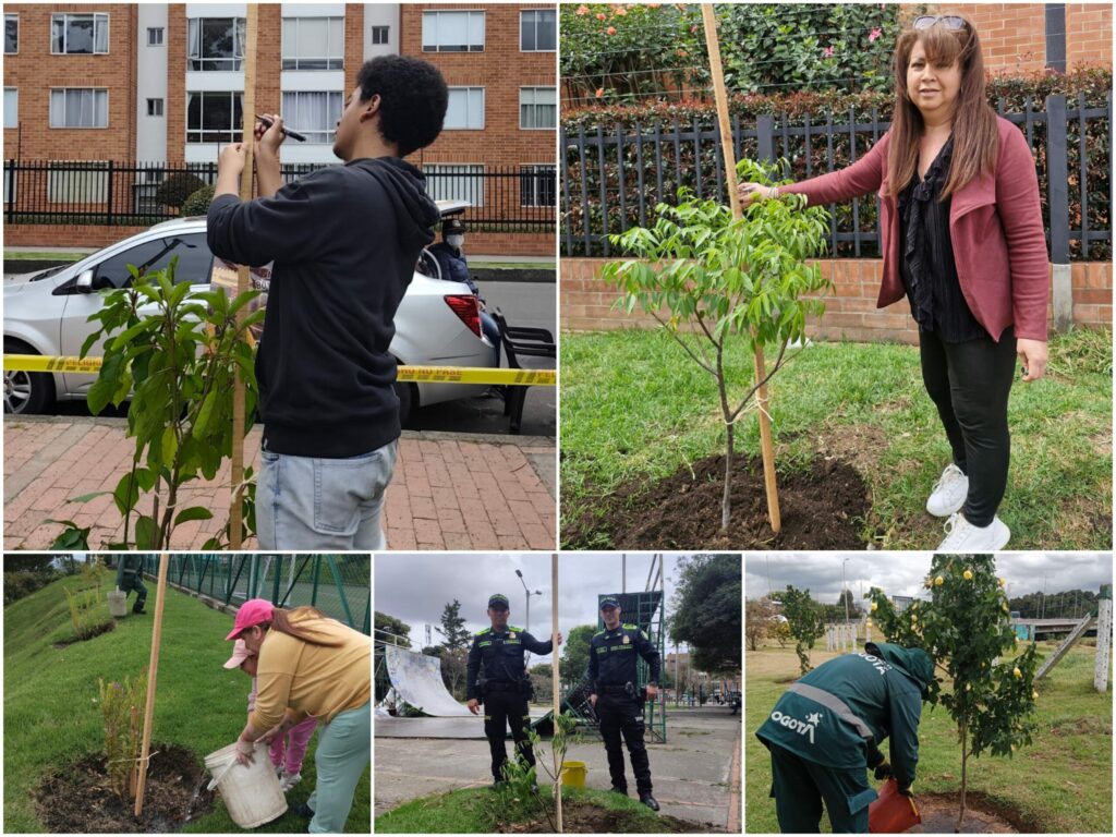 Historias del verde urbano: ¡Rescate arbóreo y riegos en 11 localidades de Bogotá!