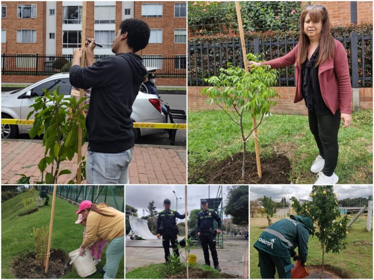 Historias del verde urbano: ¡Rescate arbóreo y riegos en 11 localidades de Bogotá!