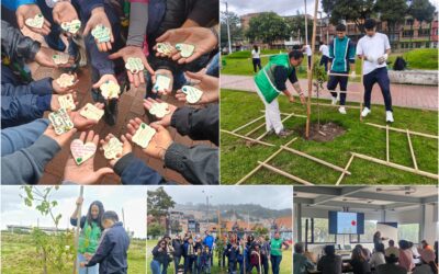 Historias del verde urbano: Actividades comunitarias ‘como en botica’ para cuidar el verde de Bogotá