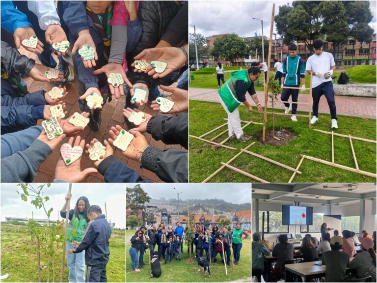 Historias del verde urbano: Actividades comunitarias ‘como en botica’ para cuidar el verde de Bogotá