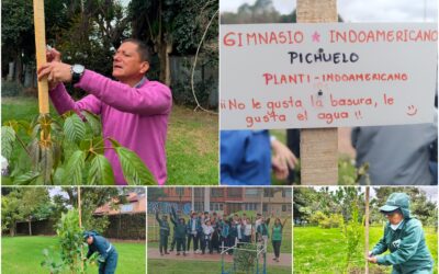 Historias del verde urbano: ¡Avanza la renaturalización del espacio público de Bogotá!